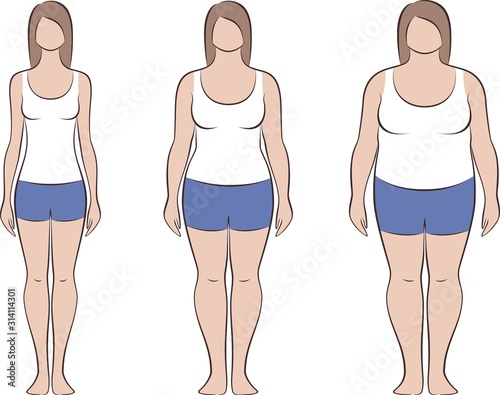 Female silhouette. Three various women body types