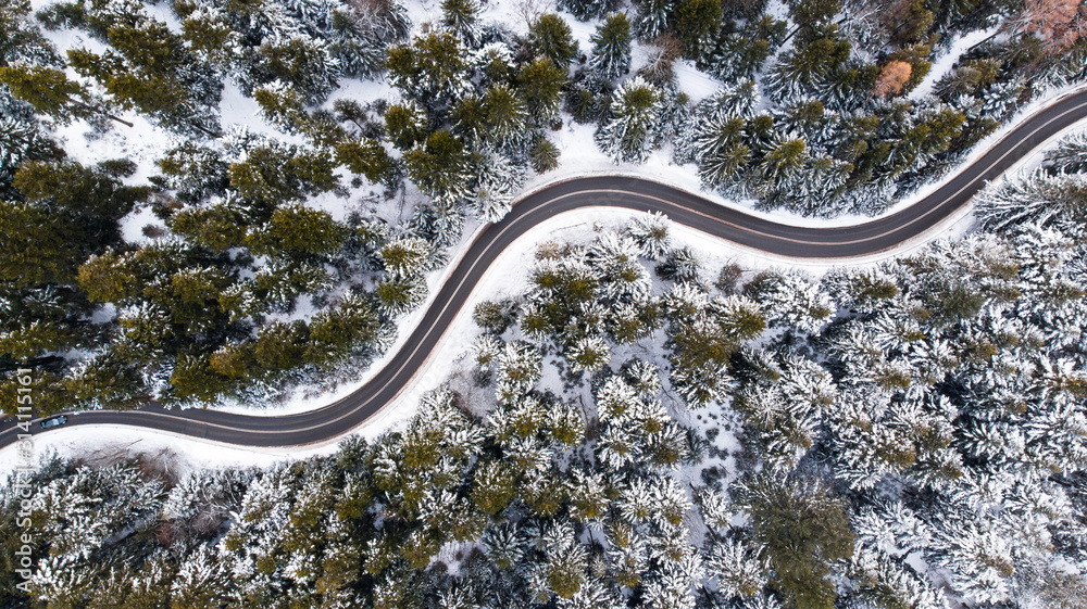 Winding Lane Road in Winter Woodland. Top Down Aerial View