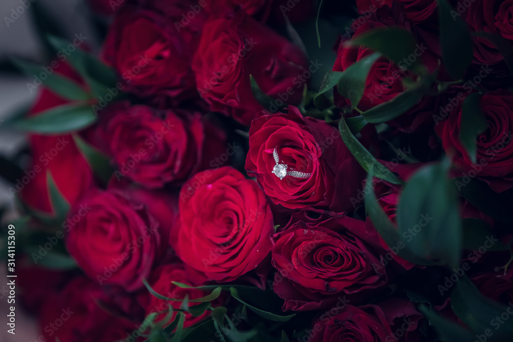 red roses red roses