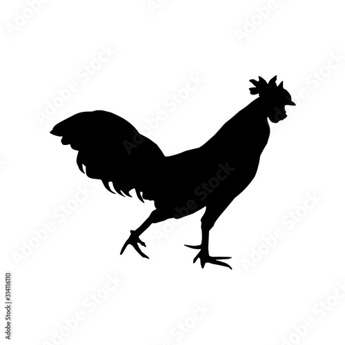 Silhouette of hen vector icon in flat style
