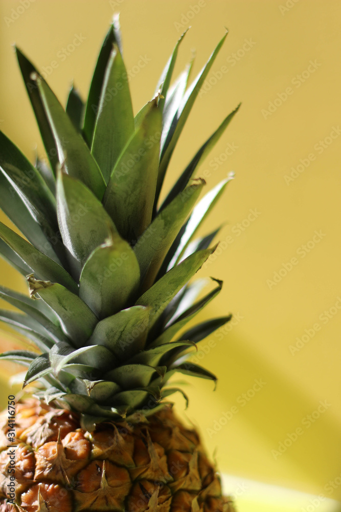 Fototapeta premium Corona de piña con fondo amarillo