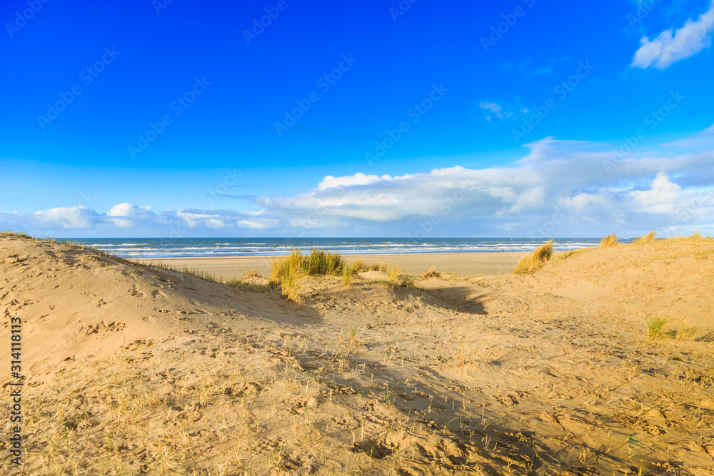 Distant view of the dune landscape and beach IJmuiderslag at low tide on the Dutch North Sea coast at seaport IJmuiden during sunrise towards the sea against a background of clear skies and clouds