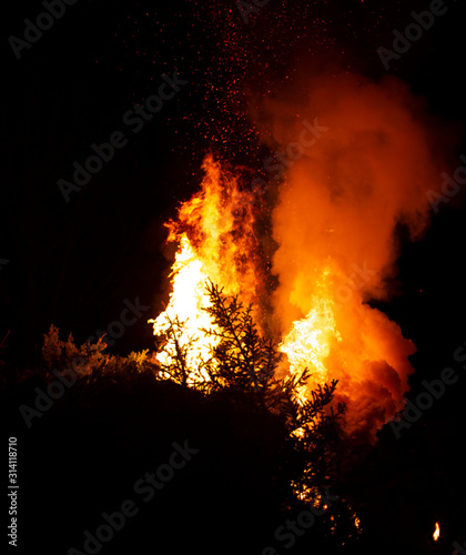 huge flames and sparks from burning trees