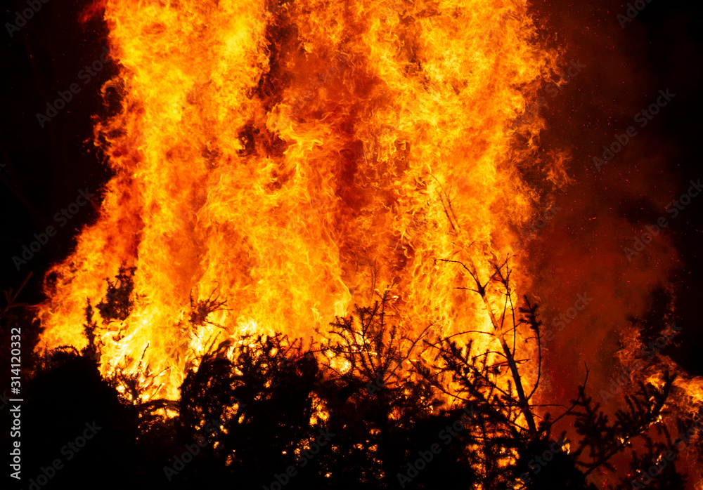 huge flames and sparks from burning trees