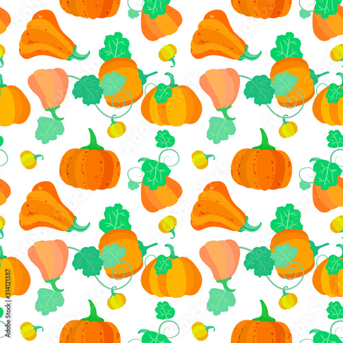 Pattern for Thanksgiving day. Pumpkin in cartoon style. Use it for print or web design creation. Vector illustration.