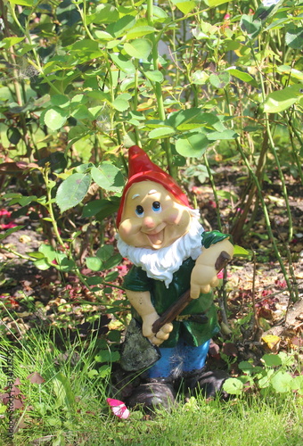 the figure of a gnome in the garden on the area of bushes and green grass