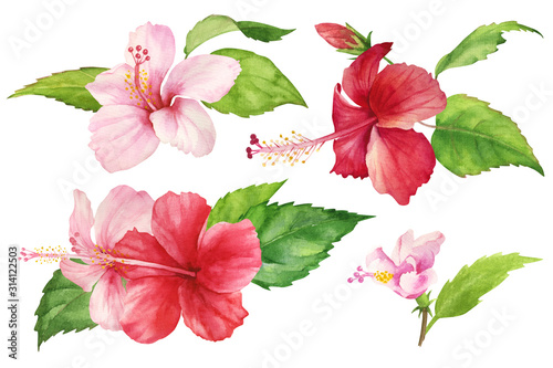 Set of isolated watercolor drawings on a white background. Tropical red and pink hibiscus flower with leaves. Bright pattern for use in design  textile  cover  postcard  print. realistic painting.