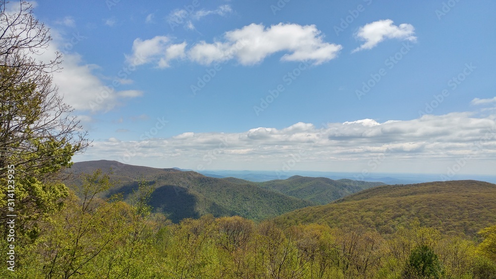 Green summer landscape view with blue sky Green summer landscape view with blue sky