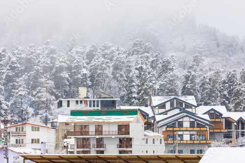 Village in a coniferous forest in the mountains in winter © alexmu