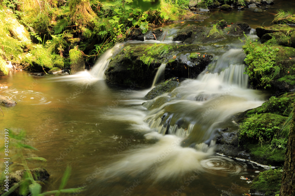 Obraz premium Ravennaschlucht Schwarzwald