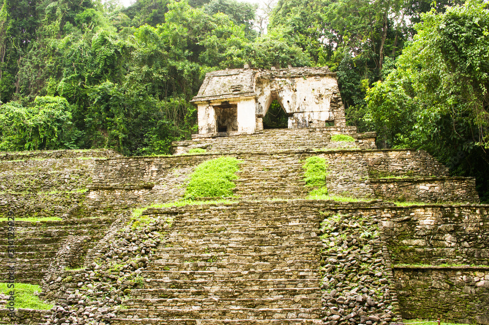 Ruins in the jungle of Palenque, an ancient maya city in Mexico Ruins in the jungle of Palenque, an ancient maya city in Mexico