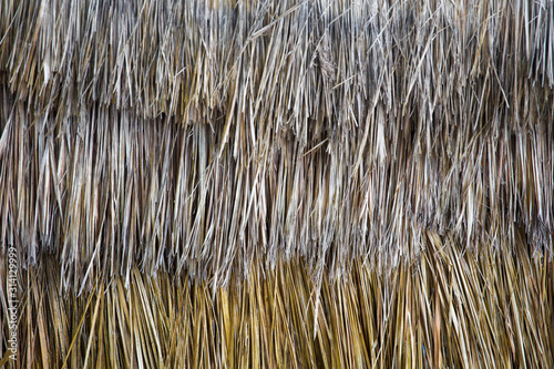 Backdrop with thatched roof...