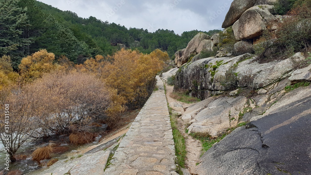 Fototapeta premium View of a rocky mountain canyon and autumnal colorful forest