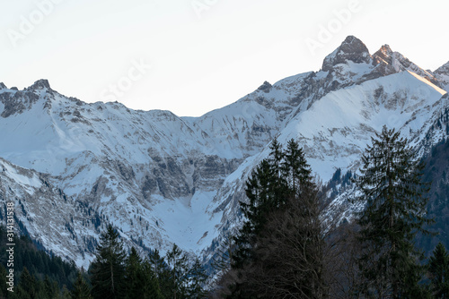 the mountain masked a bit by the fir forest in winter