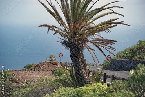 palm trees on the beach, spain lagomera, vacation, summer, europe photo