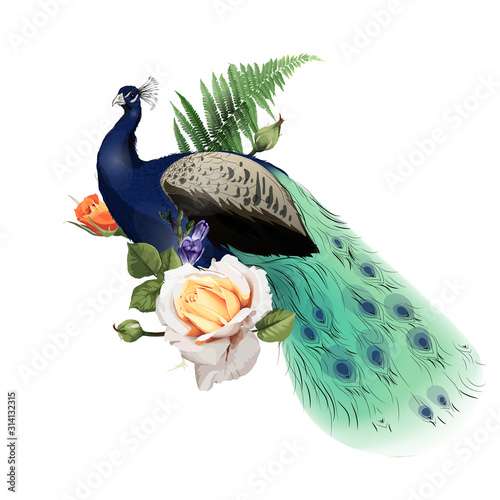 Bouquet with roses and peacock. Vector illustration