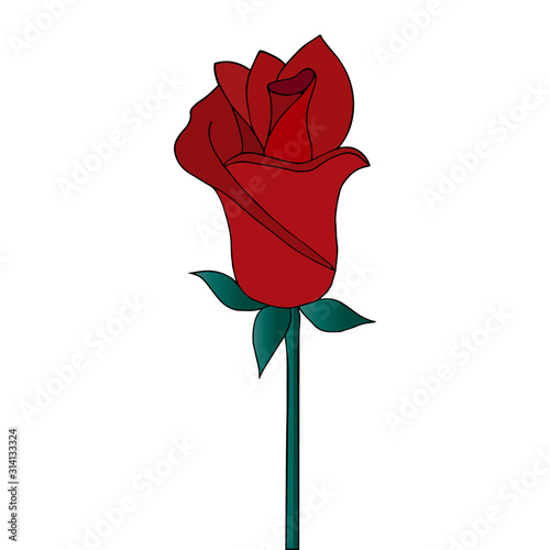 Color illustration - rose bud. Fragrant flower. Vector. Idea for stickers. Colorless background. Illustration for Valentine day. Holiday print.