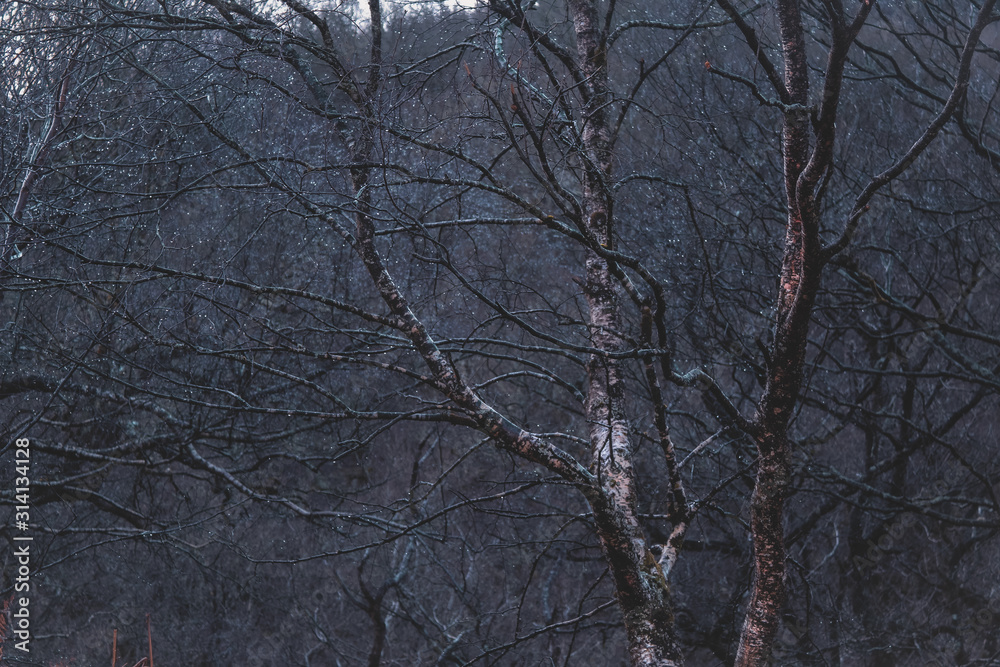Glendalough in Winter Glendalough in Winter