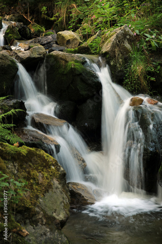 Fototapeta Naklejka Na Ścianę i Meble -  Wasserfall Todtnau Schwarzwald