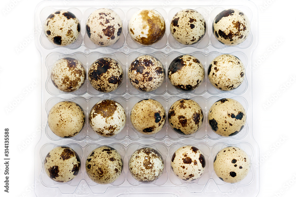 Quail eggs in open transparent packing box on white background, top view