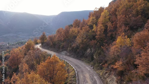 carretera de montaña entre arboles al atardecer