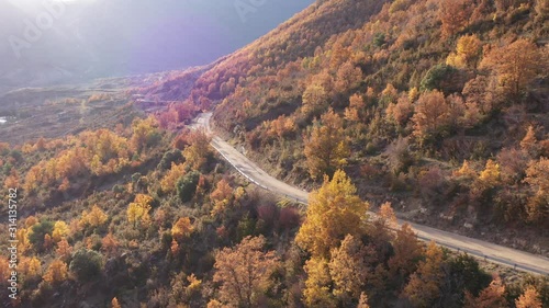 carretera de montaña entre arboles al atardecer