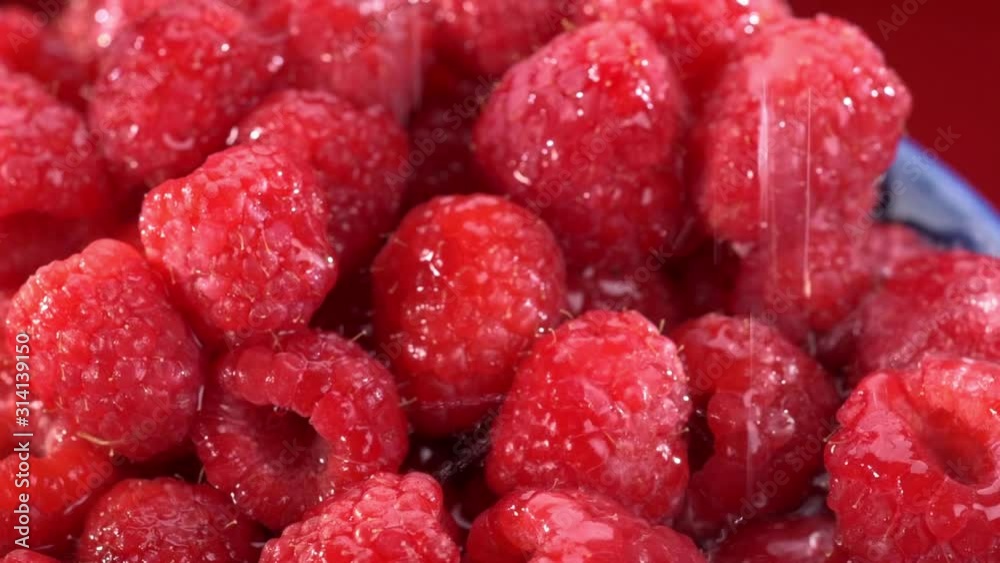 Rinsing Red Raspberries in Blue Bowl Slow Motion Rinsing Red Raspberries in Blue Bowl Slow Motion