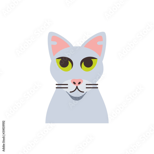 Cute white cat cartoon vector design