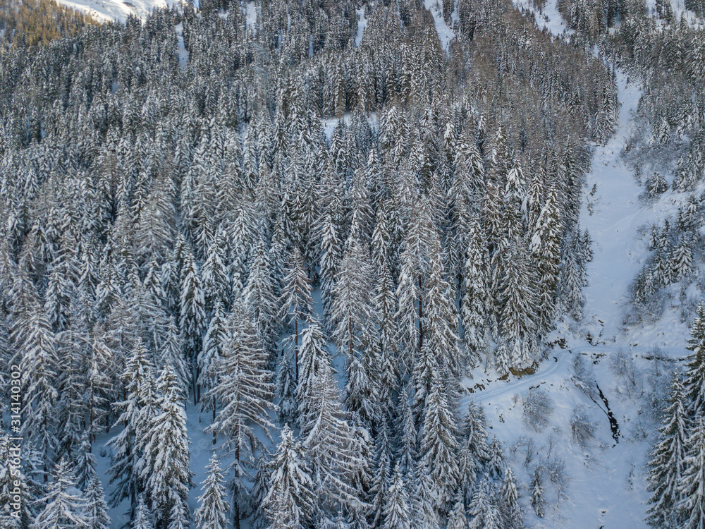 Εκτύπωση καμβά Aerial view of snow covered fir trees in peaceful winter landscape