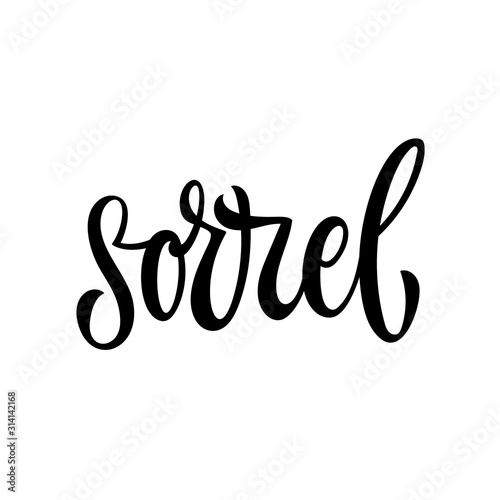 Vector hand drawn calligraphy style lettering word - Sorrel. Labels, shop design, cafe decore etc Isolated script spice text logo. Vector lettering design element.