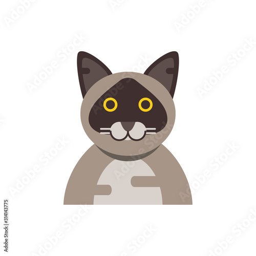 Cute light brown cat cartoon vector design