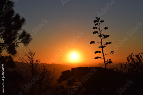 sunset in Campos do Jordao with trees silhouette