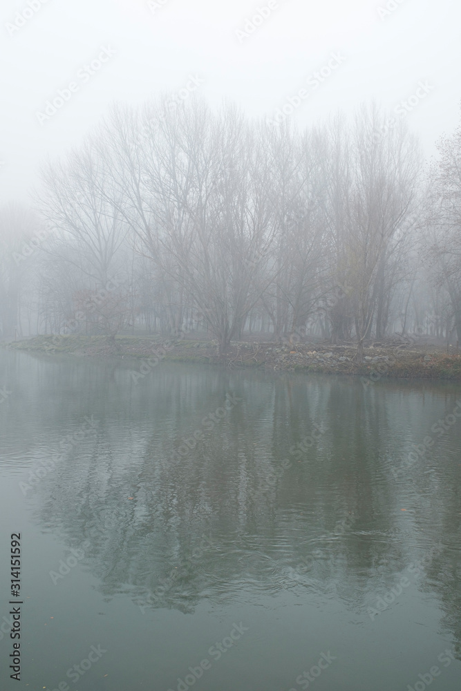 Deep fog landscape on a quiet river shore with winter tree branches Deep fog landscape on a quiet river shore with winter tree branches