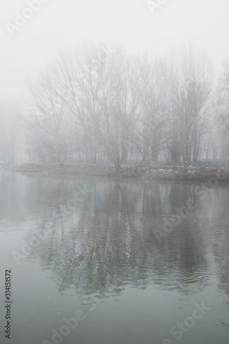 Deep fog landscape on a quiet river shore with winter tree branches
