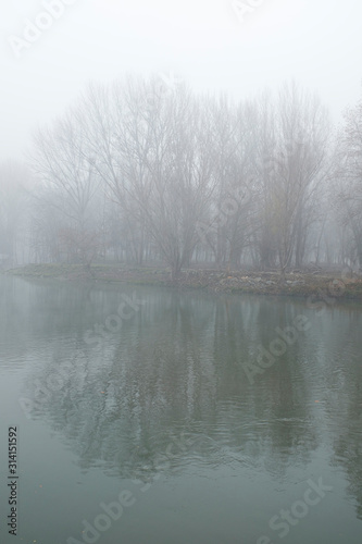 Deep fog landscape on a quiet river shore with winter tree branches