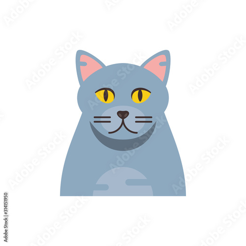 Cute grey cat cartoon vector design