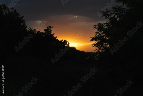 Beautiful sunset in the forest, silhouette of trees, and big yellow orange sun on the sky