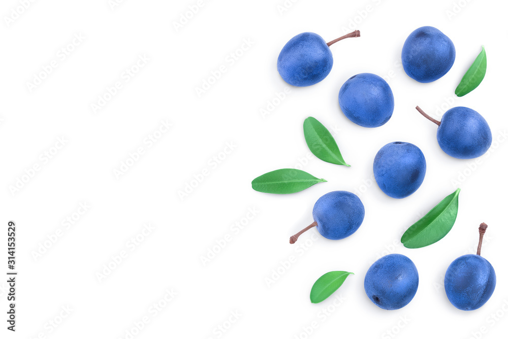 Blackthorn or Sloe berries with leaves isolated on white background with copy space for your text. Top view. Flat lay Blackthorn or Sloe berries with leaves isolated on white background with copy space for your text. Top view. Flat lay