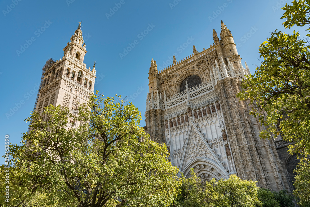 Obraz premium Seville Cathedral viewed from the Triumph Square, Spain. Gorgeous low angle view surrounded with trees