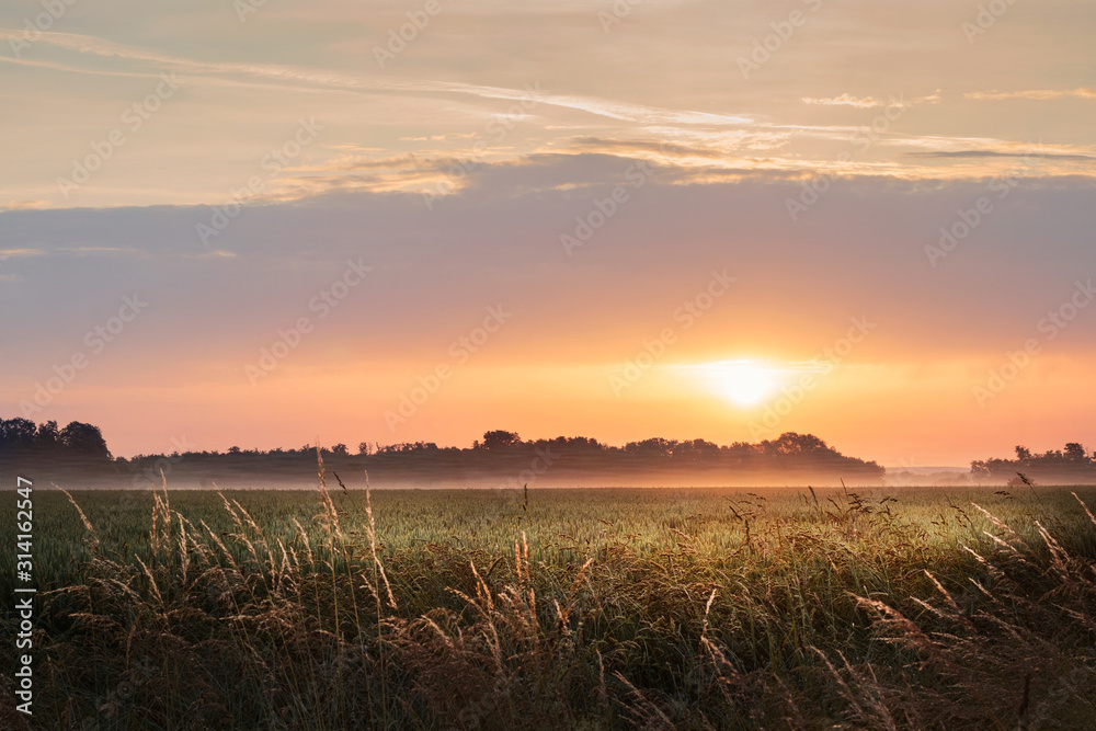 Beautiful landscape wallpaper with fields and country side. Nature landscape view during goldend hour sunset with cloudy sky.