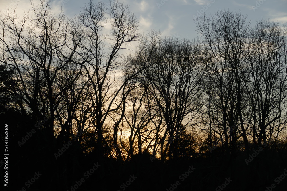 sunset across the creek