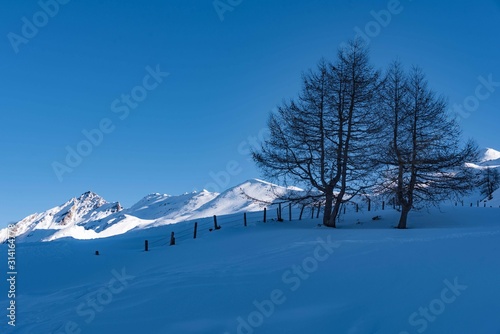 Winterlandschaft in den schneebedeckten Bergen © driendl