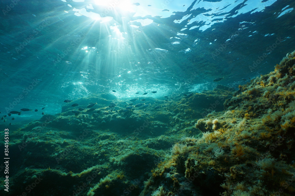 Underwater seascape in the Mediterranean sea, sunlight through water surface and rock with fish, natural scene, Catalonia, Costa Brava, Spain