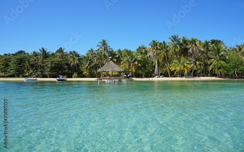 Photos Tropical coastline with coconut palm trees and a palapa over water, Bocas del To