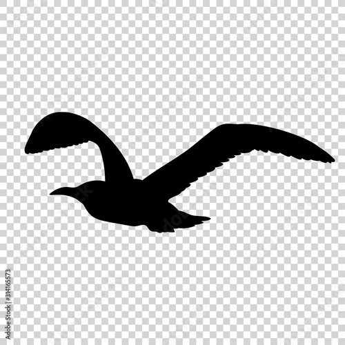 Detailed bird black silhouette isolated on transparent background. Bird icon. Flat style bird sign. Vector illustration