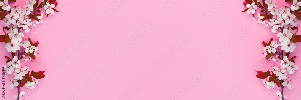 Sprigs of cherry blossoms on a pink background. Spring background, banner format. Copy space.