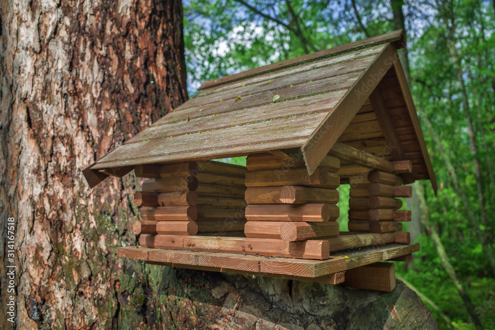Feeder for squirrels in the form of a house mounted on a tree. Feeder for squirrels in the form of a house mounted on a tree.