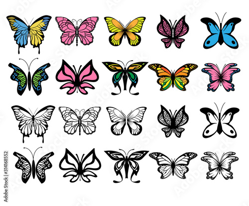 butterfly vector set collection graphic clipart design © pisut