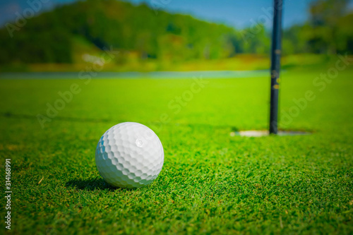 Golf ball on the green.