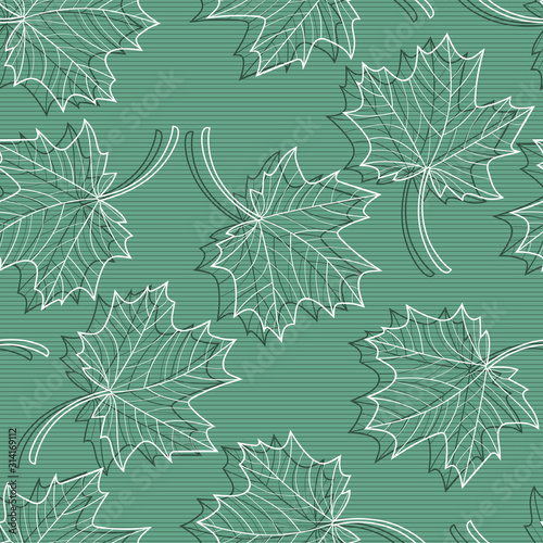 Vector Maple Leaves seamless pattern. Hand drawn Sketch Leaf. Floral background. Foliage.